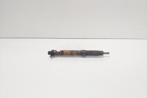 Injector, cod 9686191080, EMBR00101D, Ford Galaxy 2 2.0 TDCI, UFWA (id:715885) din dezmembrari