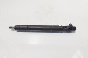 Injector, cod 9686191080, EMBR00101D, Ford Galaxy 2 2.0 TDCI, UFWA (id:716144) din dezmembrari