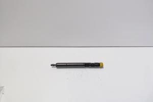 Injector, cod A6460700987, EJBR04201D, Mercedes Clasa E T-Model (S211) 2.2 CDI, OM646821 (idi:713266) din dezmembrari