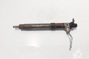 Injector, cod 9686191080, EMBR00101D, Ford Galaxy 2 2.0 TDCI, UFWA (id:718286) din dezmembrari