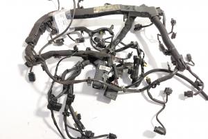 Instalatie electrica motor, cod A6510109148, Mercedes Clasa C T-Model (S204) 2.2 CDI, OM651913 (idi:712833) din dezmembrari