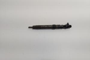 Injector, cod 9686191080, EMBR00101D, Ford Galaxy 2 2.0 TDCI, UFWA (id:719372) din dezmembrari
