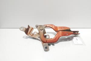 Set balamale capota fata, Renault Captur (id:720369) din dezmembrari