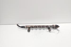 Rampa injectoare cu senzori, cod 9656917280, Land Rover Freelander 2 (FA) 2.2 DT, 224DT (id:720273) din dezmembrari