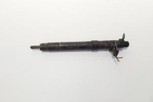 Injector, cod 9686191080, EMBR00101D, Ford Galaxy 2 2.0 TDCI, UFWA (id:720249) din dezmembrari