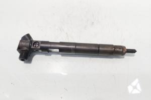 Injector Delphi, cod A6510700587, Mercedes Clasa E (W212) 2.2 CDI, OM651924 (id:721090) din dezmembrari