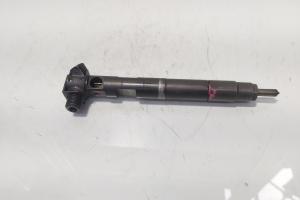 Injector Delphi, cod A6510704987, Mercedes Clasa E (W212) 2.2 CDI, OM651924 (id:721606) din dezmembrari
