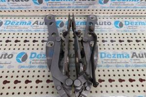 Set balamale capota fata Bmw 3 (E46) 1998-2005 din dezmembrari