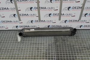 Radiator intercooler, 144610001N, Renault Laguna 3 combi 2.0dci din dezmembrari