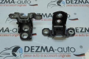 Set balamale dreapta spate, Renault Laguna 3 combi din dezmembrari