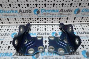 Set balamale capota fata GM93299987, Opel Meriva, 2003-2010 din dezmembrari