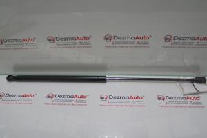 Telescop haion, 4M51-N406A10-AB, Focus 2 Combi (DA) din dezmembrari