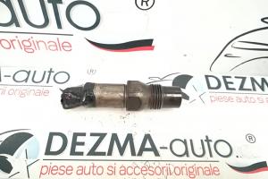 Injector cod  LCR6705404D, Fiat Doblo (119) (id:13699) din dezmembrari