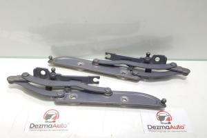 Set balamale capota spate, Bmw 3 (E46) (124447) din dezmembrari