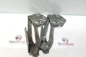 Set balamale capota fata, Vw Caddy 3 combi (2KJ) din dezmembrari