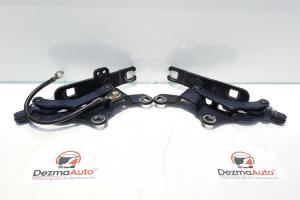 Set balamale capota fata, Bmw 1 cabriolet (E88) din dezmembrari