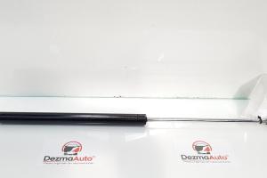 Telescop haion, Renault Laguna 2 combi, cod 8200025317 (id:268530) din dezmembrari