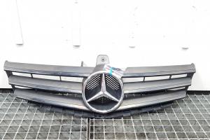 Grila bara fata, Mercedes Clasa A (W169) (id:369081) din dezmembrari