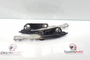 Set balamale capota fata, Dacia Logan 2 din dezmembrari