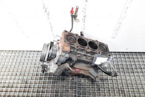 Bloc motor ambielat, Fiat Panda (312) [Fabr 2012-prezent] 1.2 B, 169A4000 (pr:110747) din dezmembrari