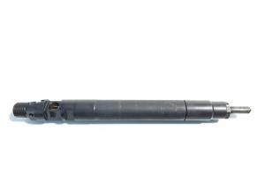 Injector, cod 9686191080, EMBR00101D, Ford Galaxy 2, 2.0 TDCI, UFWA (id:410946) din dezmembrari