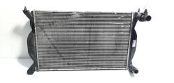 Radiator racire apa, cod 8E0121251A, Audi A4 (8EC, B7) 2.0 tdi, BLB (id:467676)