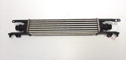 Radiator intercooler, cod GM55702004, Opel Corsa D, 1.3 cdti, Z13DTJ (id:476418)