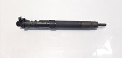 Injector, cod 9686191080, EMBR00101D, Ford Galaxy 2, 2.0  tdci, UFWA (id:474466)