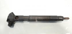 Injector Delphi, cod A6510704987, Mercedes CLS (C218), 2.2 CDI, OM651924 (idi:484660)