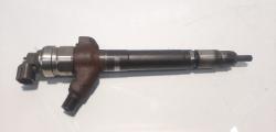 Injector, cod 6C1Q-9K546-AC, Citroen Jumper Autoutilitara, 2.2 HDI, 4HU (idi:493534)