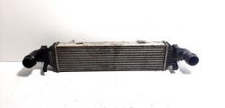 Radiator intercooler, cod A2045000200, Mercedes Clasa E (W212) 2.2 CDI, OM651924 (id:522362)