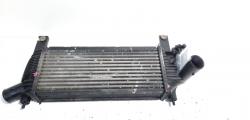 Radiator intercooler, cod 14461-EB360, Nissan Pathfinder (R51) 2.5 diesel, YD25DDTi, 4X4 (idi:527056)