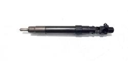 Injector, cod 9686191080, EMBR00101D, Peugeot 407 Coupe, 2.0 HDI, RHH (idi:529998)