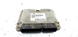 Calculator motor, cod 036906034CN, VW Golf 4 (1J1), 1.6 16V benz, AZD (idi:535628)