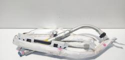 Airbag cortina stanga, cod 9653166180, Peugeot 307 (id:547044)