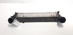 Radiator intercooler, Bmw 3 (E90), 2.0 diesel, 204D4 (id:557551)