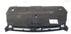 Capac panou frontal, cod 820780001R, Renault Laguna 3 Coupe (idi:555082)