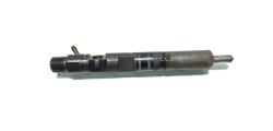 Injector Delphi, cod 166000897R, H8200827965, Renault Clio 3, 1.5 DCI, K9K770 (id:572946)