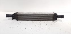 Radiator intercooler, Seat Exeo (3R2) 2.0 TDI, CAG (idi:607521)