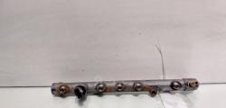 Rampa injectoare cu senzor, cod 8200715519, 0445214116, Renault Megane 2, 1.9 DCI, F9Q804 (id:613861)