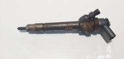 Injector, cod 7798446-05, 0445110289, Bmw 3 Cabriolet (E93), 2.0 diesel, N47D20C (idi:626136)