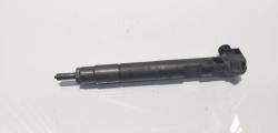 Injector Delphi, cod A6510702887, Mercedes Clasa C T-Model (S204), 2.2 CDI, OM651911 (idi:624258)