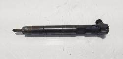 Injector Delphi, cod A6510702887, Mercedes Clasa E (W212) 2.2 CDI, OM651924 (id:637109)