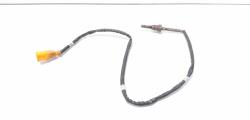 Sonda temperatura gaze, cod 04L906088B, Vw Golf 7 (5G) 1.6 TDI, CLH (id:638452)