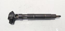 Injector Delphi, cod A6510700587, Mercedes Clasa E (W212) 2.2 CDI, OM651924 (id:638969)