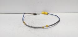 Sonda temperatura gaze, cod 8200941746, Renault Megane 2 Coupe-Cabriolet, 2.0 DCI, M9R700 (idi:646832)