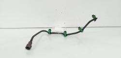 Rampa retur injectoare, Ford C-Max 2, 1.6 TDCI, T1DB (id:650816)
