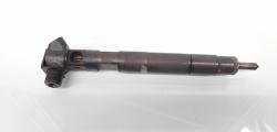 Injector Delphi, cod A6510704987, Mercedes Clasa E (W212) 2.2 CDI, OM651924 (id:648941)