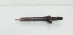 Injector, cod 9688438580, EJBR06001D, Citroen C5 (III) Break , 2.0 HDI, RHF (id:655786)