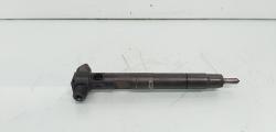 Injector Delphi, cod A6510702887, Mercedes Clasa E (W212), 2.2 CDI, OM651924 (id:653788)